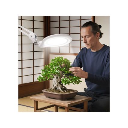 Extol - LED ściemnialna lampa biurkowa z lupą LED/10W/230V biała