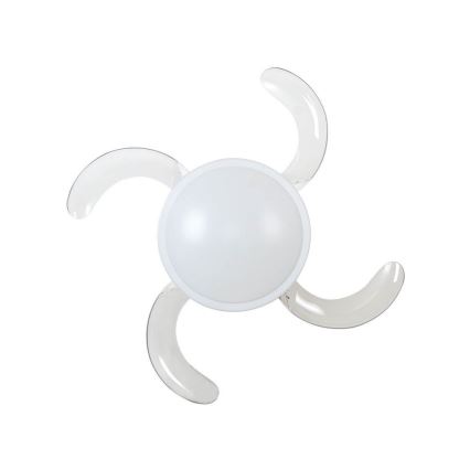 Lucci Air 212980 - Wentylator sufitowy FANAWAY EVORA 2xE27/15W/230V