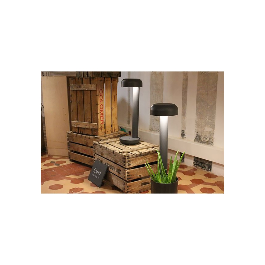 FARO 71206 - Oprawa zewnętrzna GROW LED/9W/230V IP65
