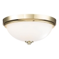 Feiss - Lampa sufitowa do łazienki MALIBU 2xE27/60W/230V IP44 złota