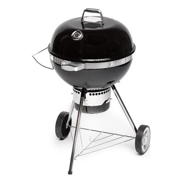 Fieldmann - Grill na węgiel drzewny czarny/chrom