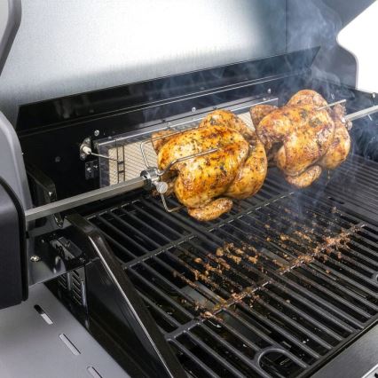 Fieldmann - Rożen obrotowy z silnikiem 230V, stal nierdzewna