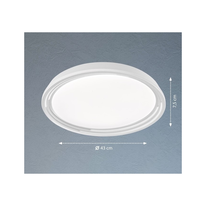 Fischer & Honsel 20807 - LED Ściemniany plafon DUA LED/22W/230V