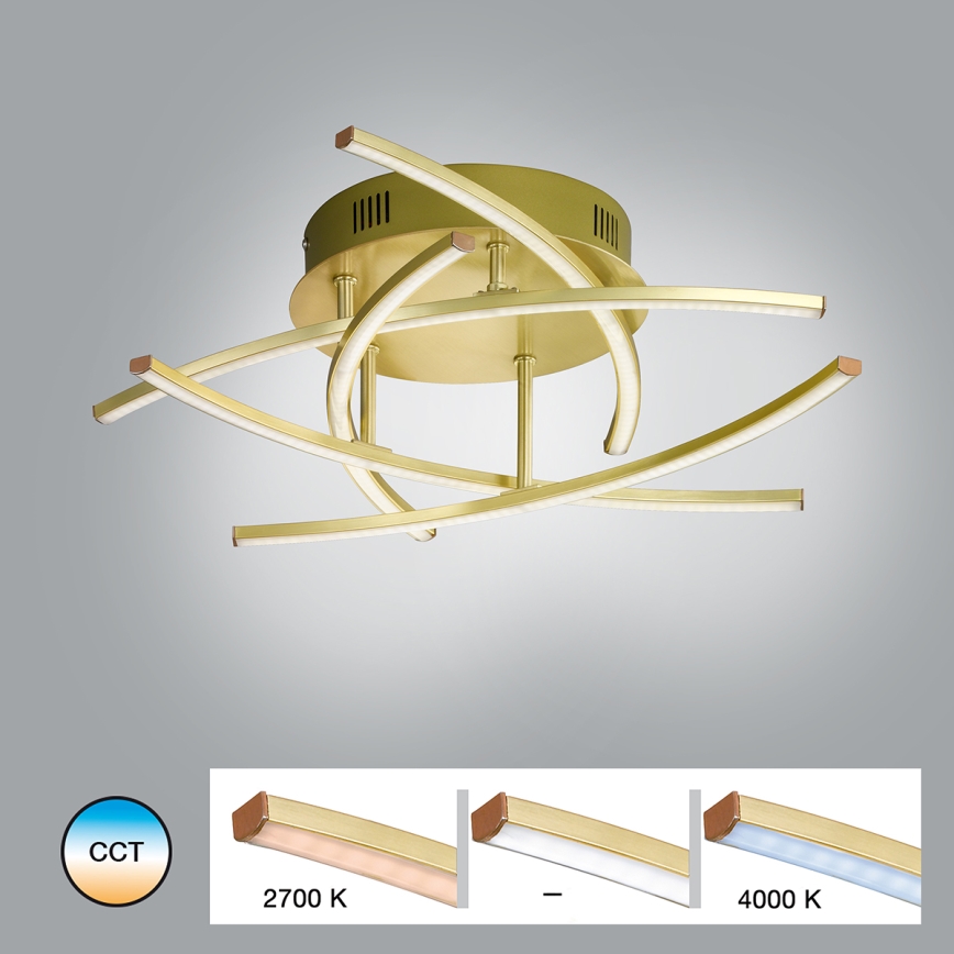 Fischer & Honsel - LED Ściemnialny żyrandol natynkowy CROSS 5xLED/4W/230V