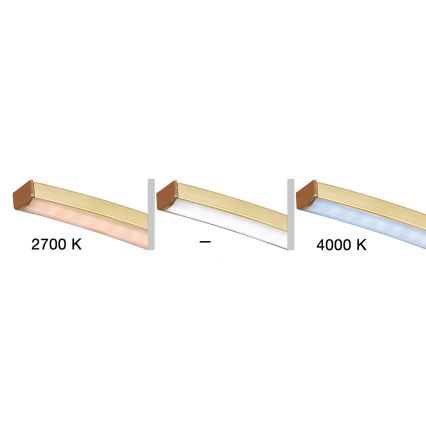 Fischer & Honsel - LED Ściemnialny żyrandol natynkowy CROSS 5xLED/4W/230V