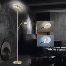 Fischer & Honsel - LED Ściemniana lampa podłogowa DENT 1×LED/30W/230V + 1xLED/6W