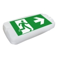 Fulgur 26200 - Awaryjna lampa LED SAFEBOY LED/5,5W/230V 400 mAh IP65 6500K