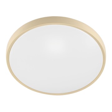 Fulgur 27480 - Ramka z dyfuzorem do lampy sufitowej VERA 420 GOLD