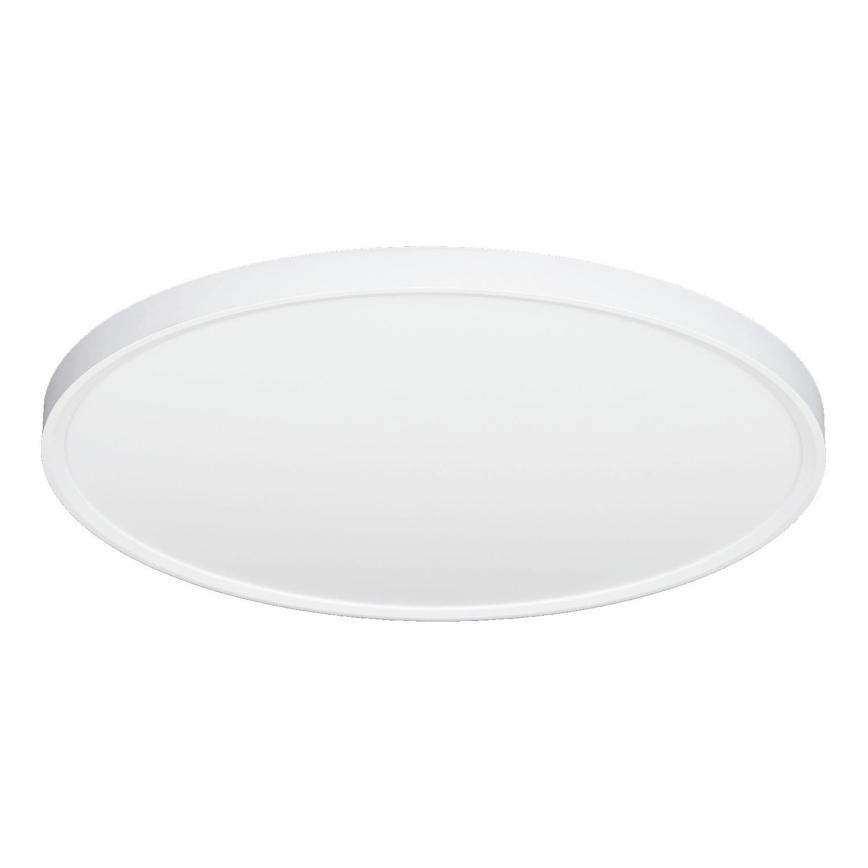 Fulgur 42363 - LED Plafon NOMY LED/40W/230V 3000/4000/6000K IP40 śr. 50 cm biały