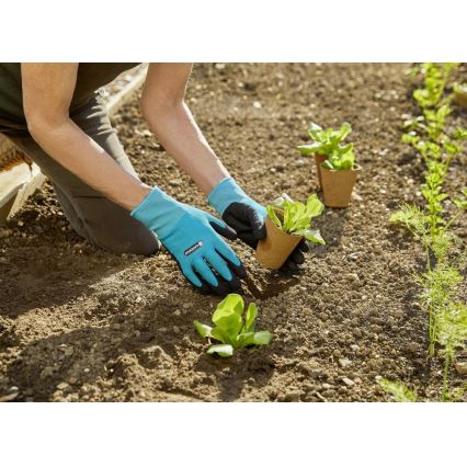 Gardena - Rękawice robocze niebiesko-czarne
