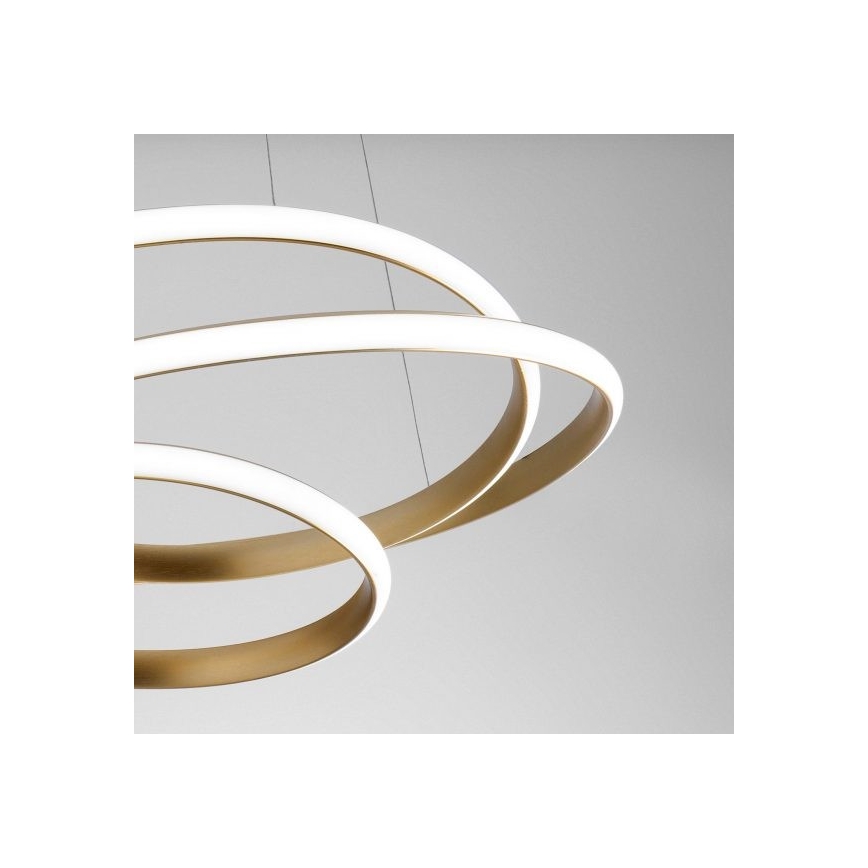 Gea Luce DIVA S P ORO - LED Żyrandol ściemnialny na lince DIVA LED/43W/230V złoty