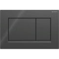 Geberit 115.883.DW.1 - Przycisk spłukujący Sigma30 24,6x16,4 cm czarny