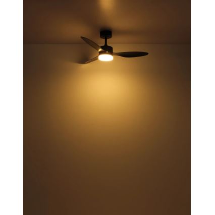 Globo - LED Ściemnialny wentylator sufitowy LED/20W/230V 2700-6500K + zdalne sterowanie