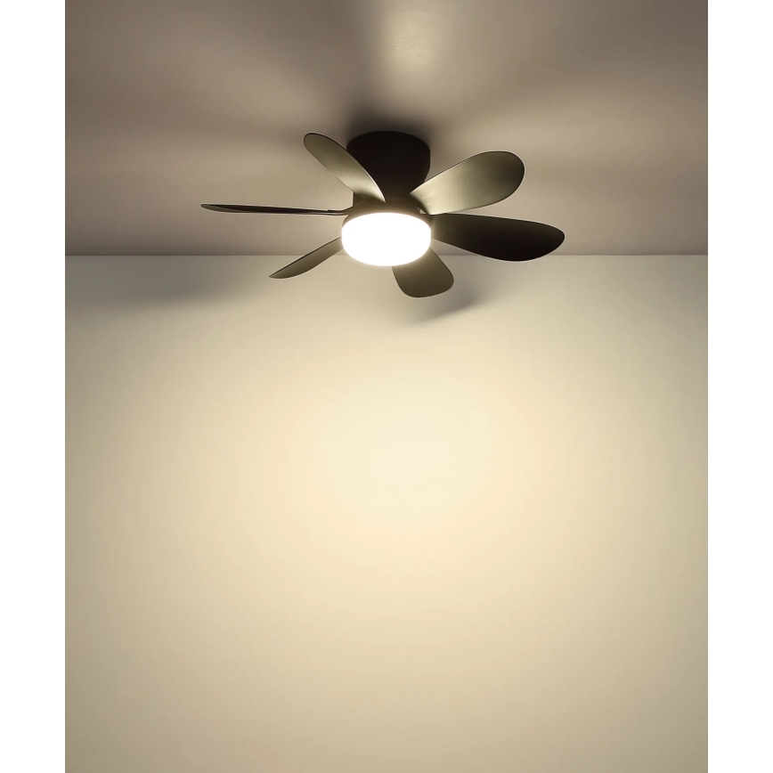 Globo - LED ściemnialny wentylator sufitowy LED/5W/230V 2700-6500K czarny + pilot zdalnego sterowania