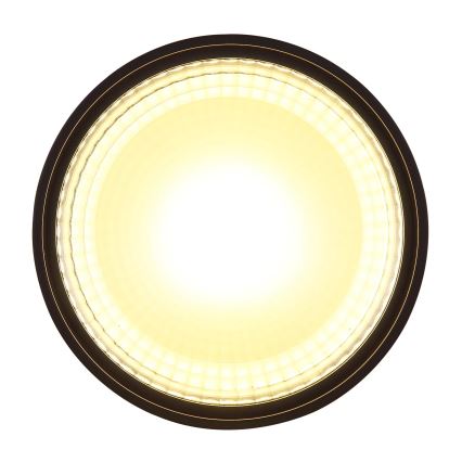 Globo - LED Plafon LED/12W/230V 3000K