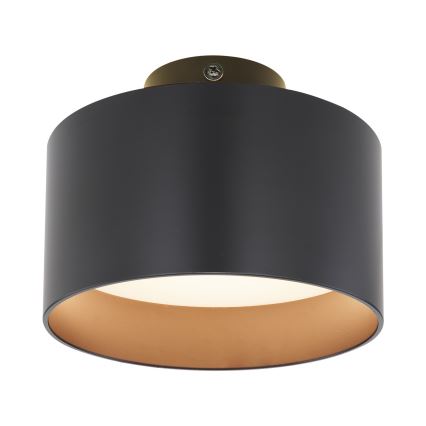Globo - LED Plafon LED/16W/230V