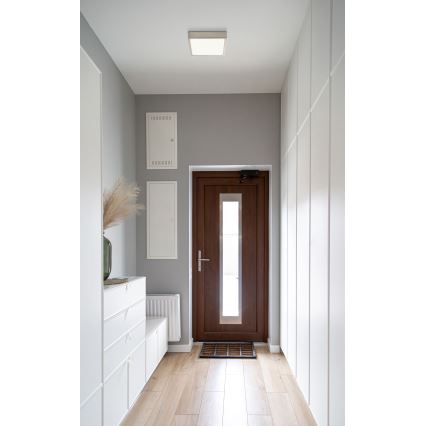 Globo - LED Plafon LED/15W/230V