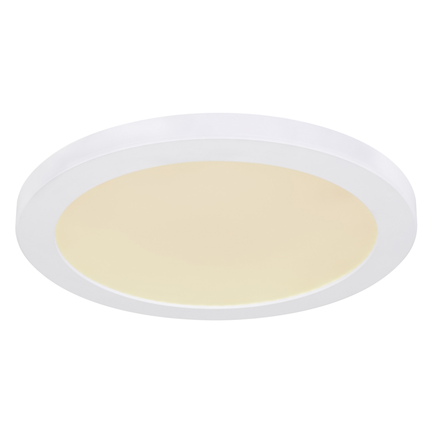 Globo - LED Plafon LED/24W/230V 3000/4000/6500K biały