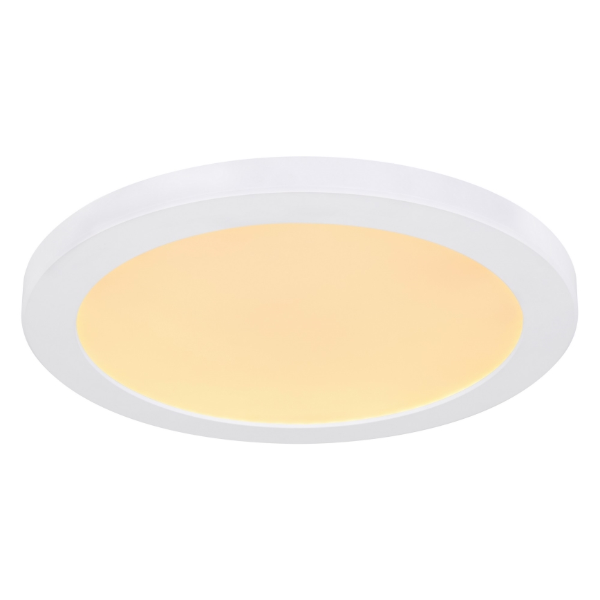 Globo - LED Plafon LED/24W/230V 3000/4000/6500K biały