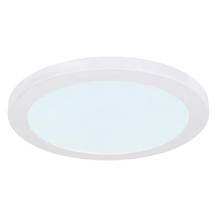 Globo - LED Plafon LED/24W/230V 3000/4000/6500K biały