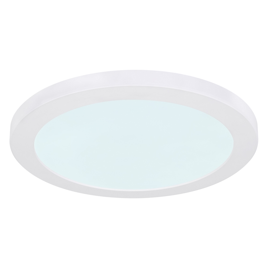 Globo - LED Plafon LED/24W/230V 3000/4000/6500K biały
