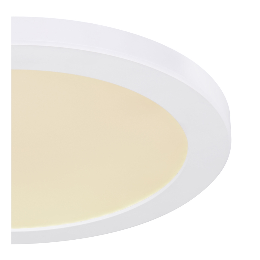 Globo - LED Plafon LED/24W/230V 3000/4000/6500K biały