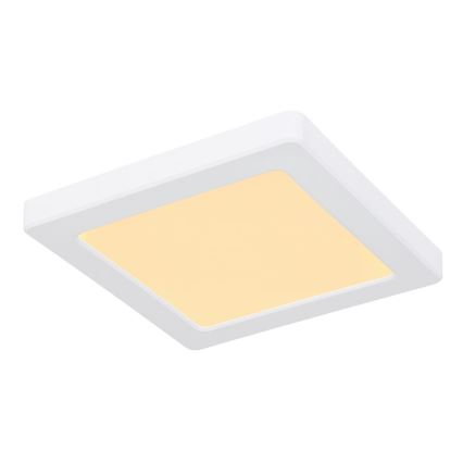 Globo - LED Plafon LED/12W/230V 3000/4000/6500K biały