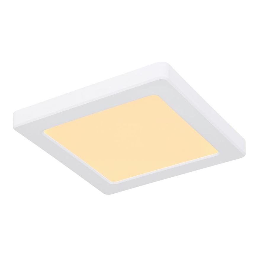 Globo - LED Plafon LED/12W/230V 3000/4000/6500K biały