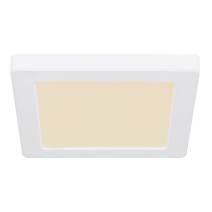 Globo - LED Plafon LED/12W/230V 3000/4000/6500K biały