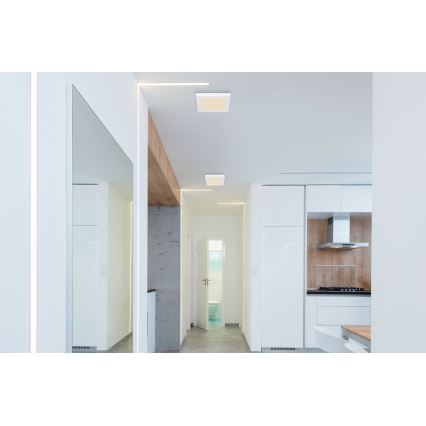 Globo - LED Lampa sufitowa LED/12W/230V 3000/4000/6500K biała