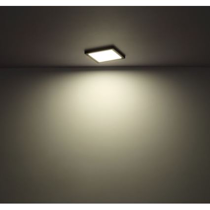 Globo - LED Lampa sufitowa LED/12W/230V 3000/4000/6500K biała