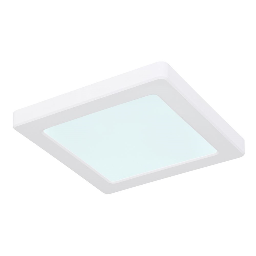 Globo - LED Lampa sufitowa LED/12W/230V 3000/4000/6500K biała