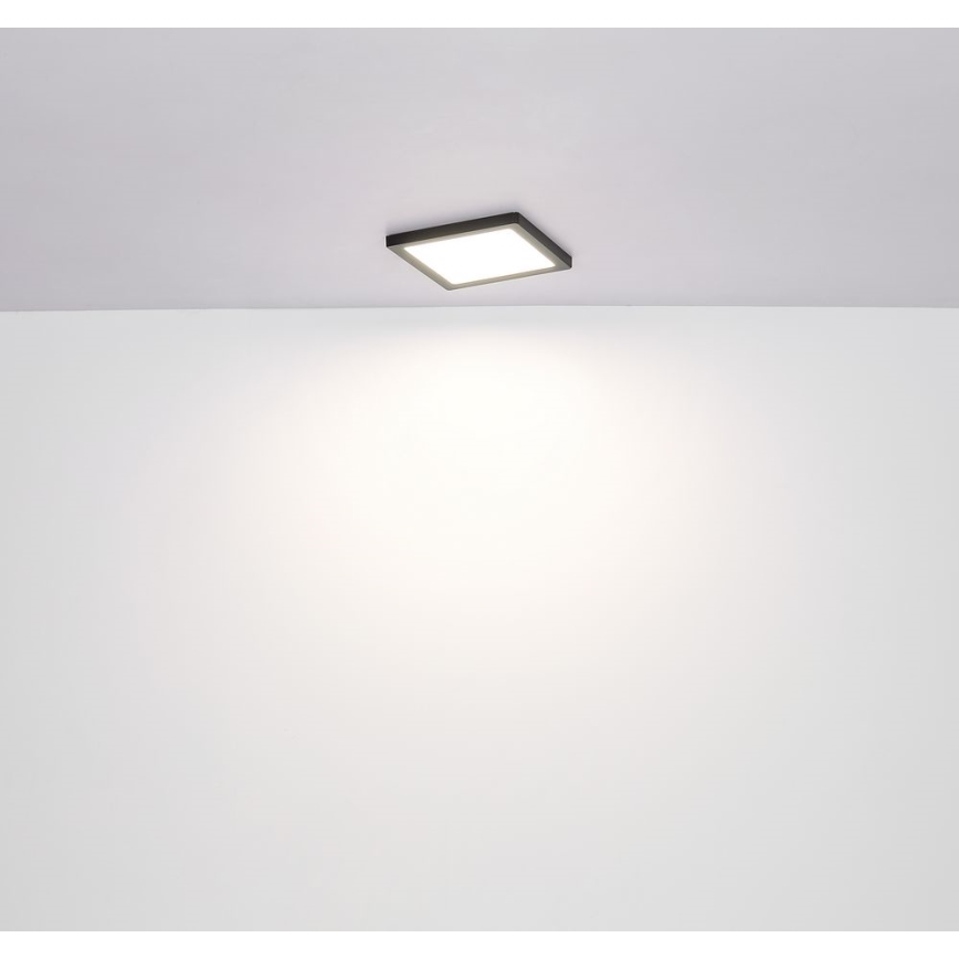 Globo - LED Plafon LED/18W/230V 3000/4000/6500K czarny
