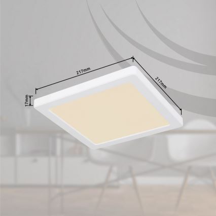 Globo - LED Lampa sufitowa LED/18W/230V 3000/4000/6500K biała