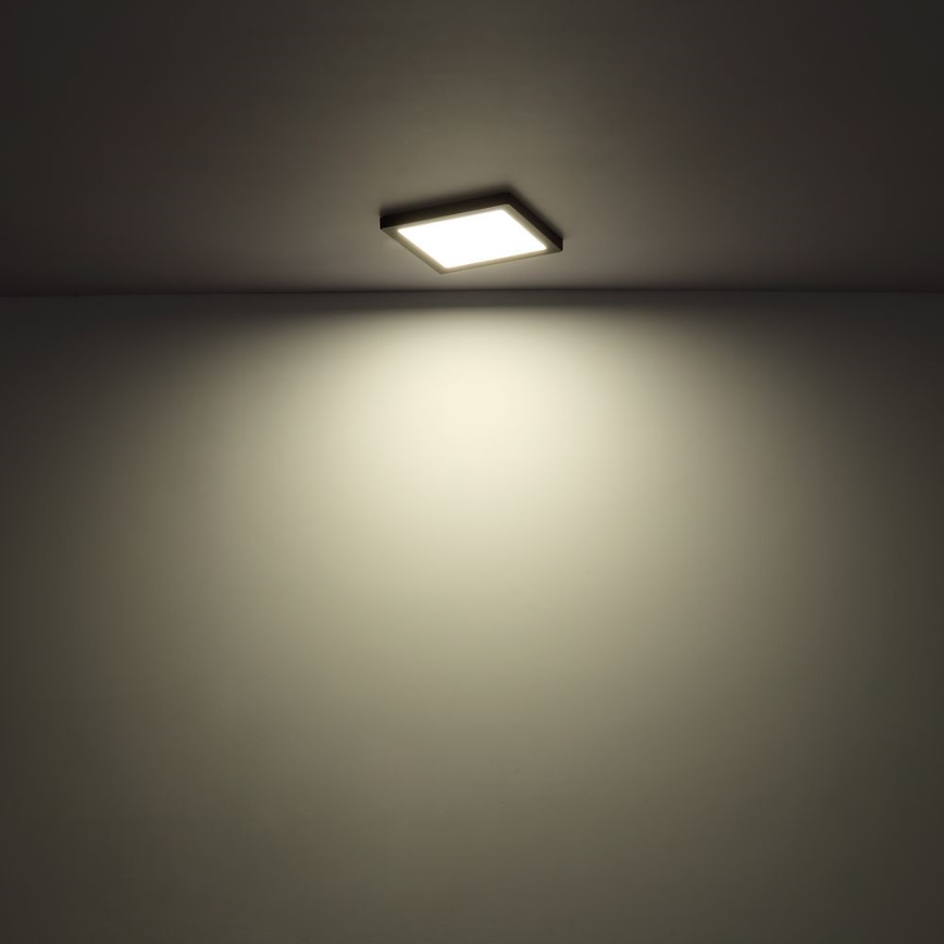 Globo - LED Plafon LED/24W/230V 3000/4000/6500K biały