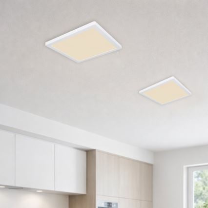 Globo - LED Plafon LED/24W/230V 3000/4000/6500K biały