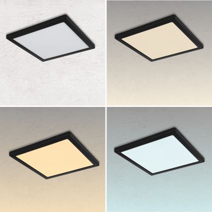 Globo - LED Plafon LED/24W/230V 3000/4000/6500K biały