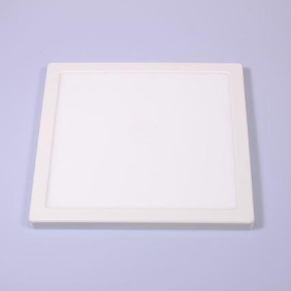 Globo - LED Plafon LED/24W/230V 3000/4000/6500K biały