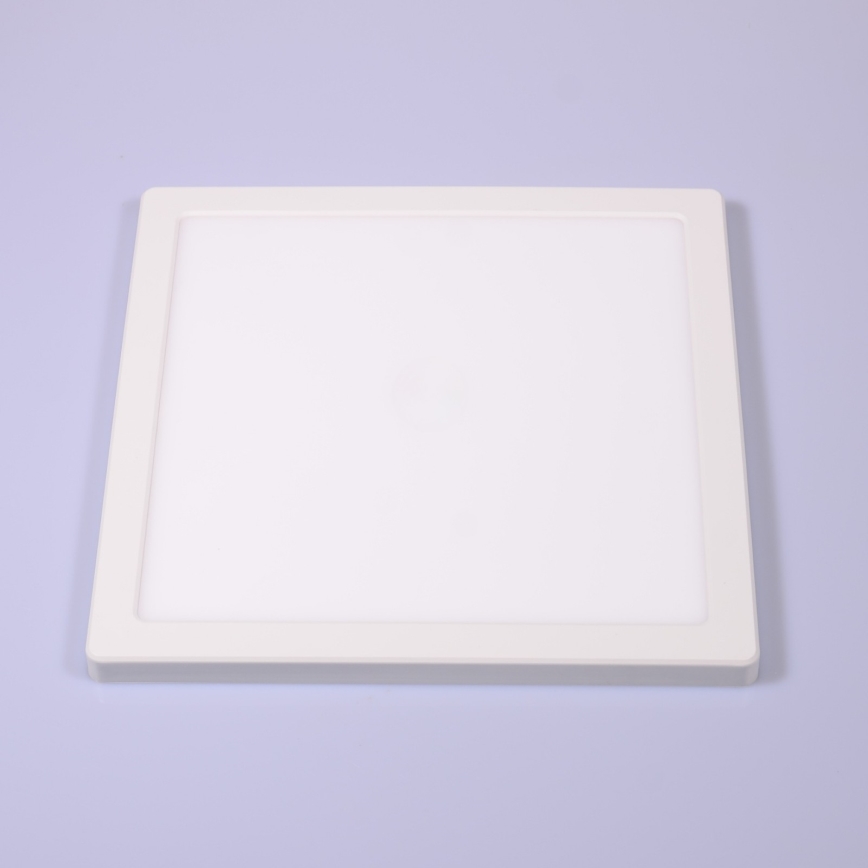 Globo - LED Plafon LED/24W/230V 3000/4000/6500K biały