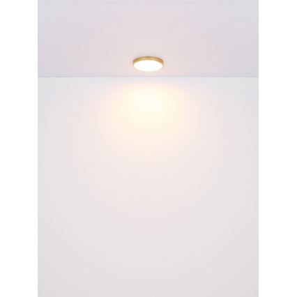 Globo - LED Plafon LED/15W/230V śr. 25 cm