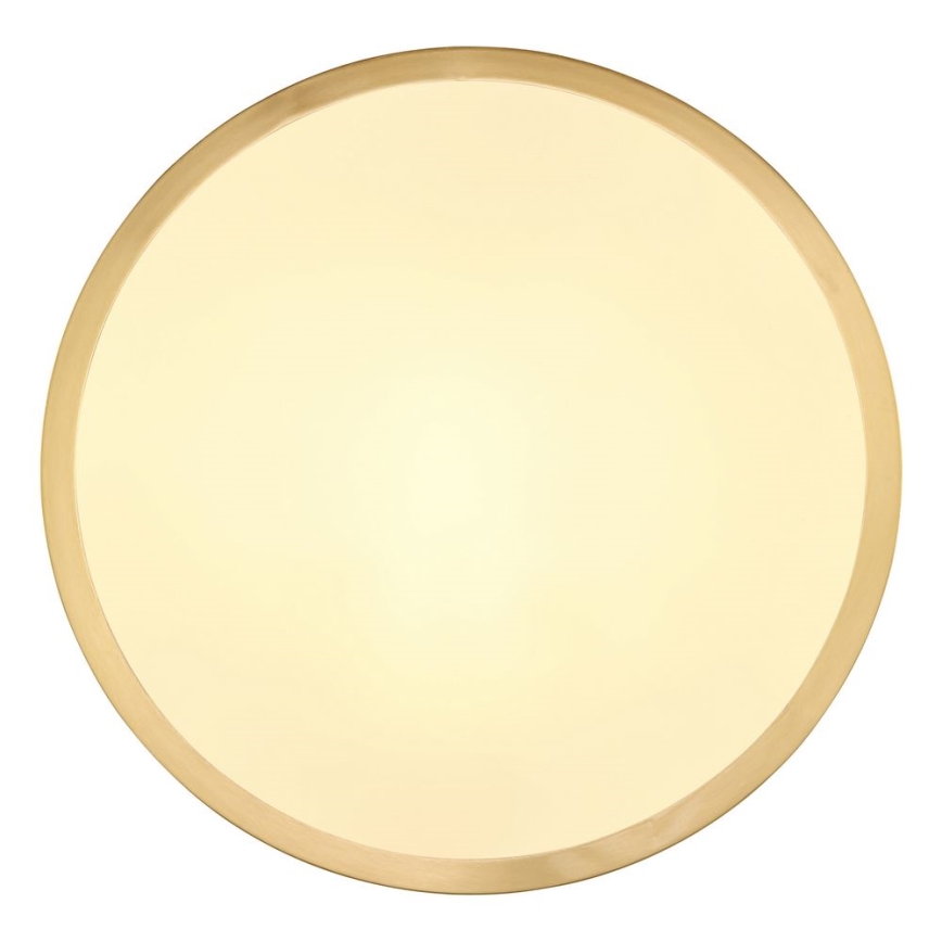 Globo - LED Plafon LED/15W/230V śr. 25 cm