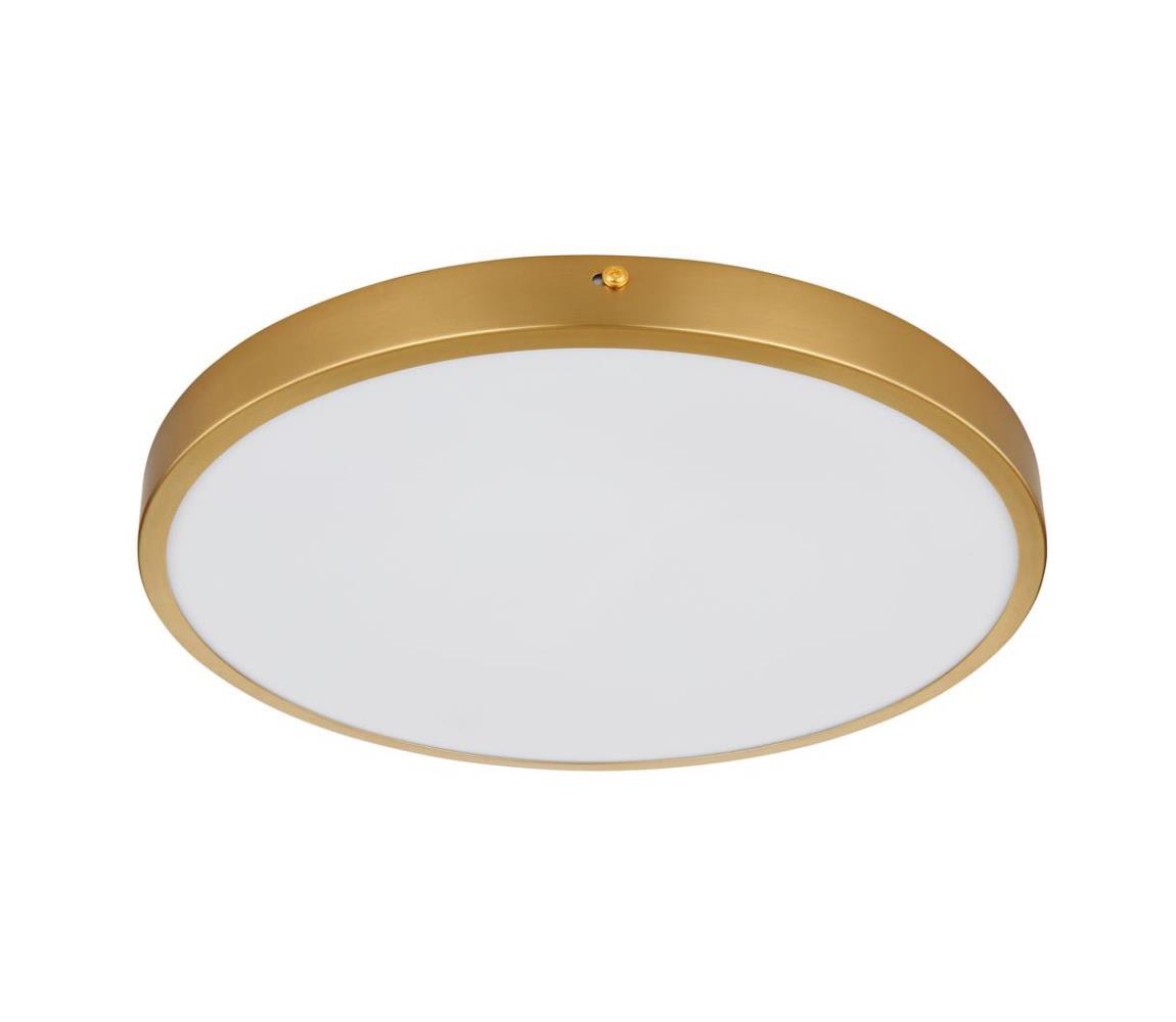 Globo 12381-22 - LED Plafon TIBEY LED/22W/230V śr. 35 cm