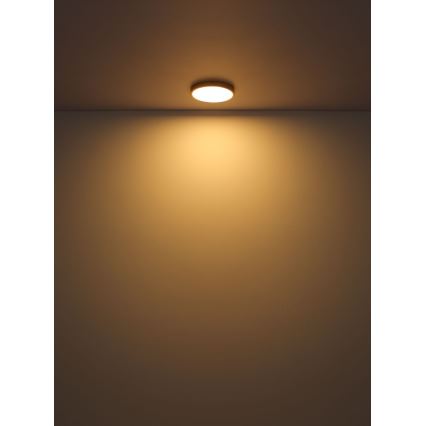 Globo - LED Plafon LED/22W/230V śr. 35 cm