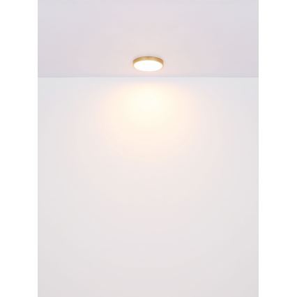 Globo - LED Plafon LED/22W/230V śr. 35 cm