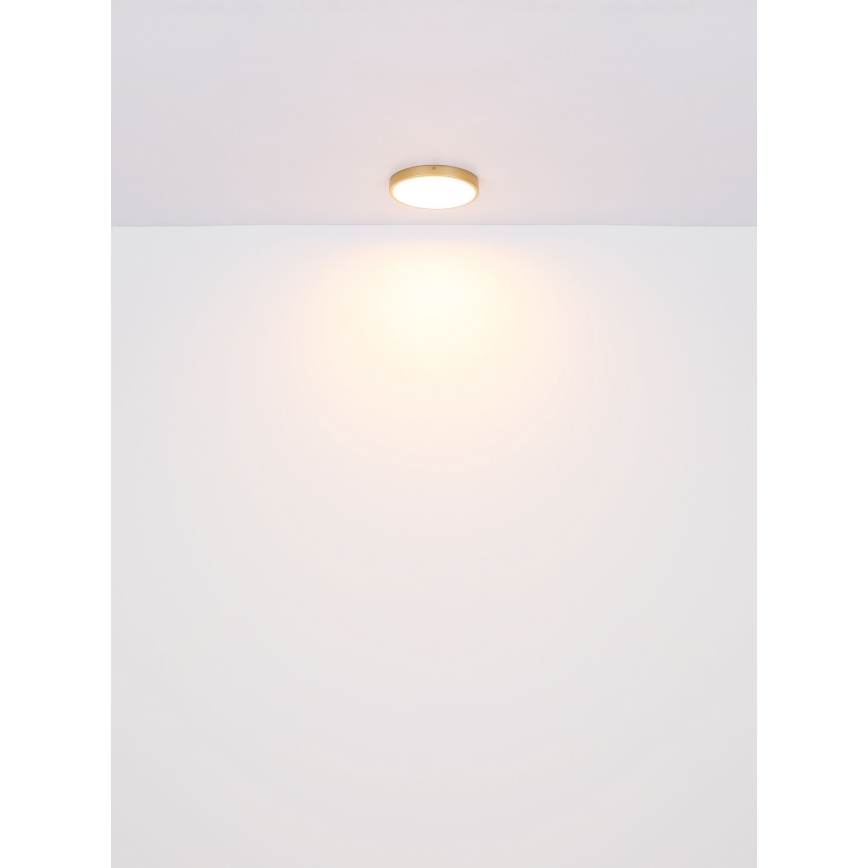 Globo - LED Plafon LED/22W/230V śr. 35 cm