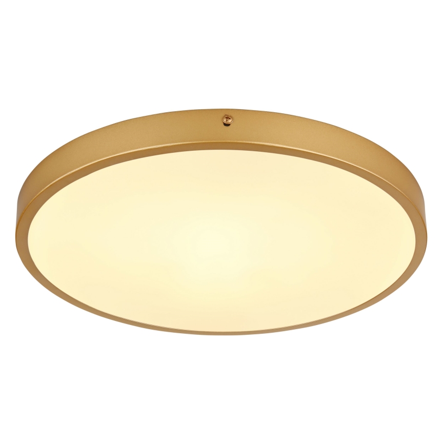 Globo - LED Plafon LED/22W/230V śr. 35 cm