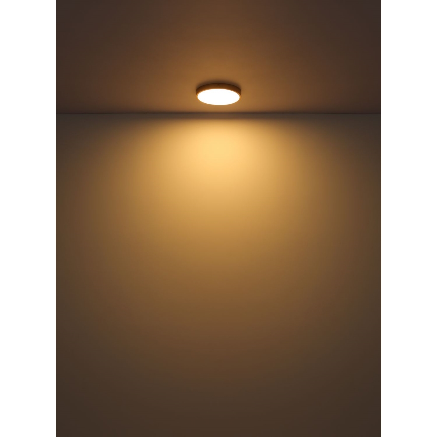 Globo - LED Plafon LED/30W/230V śr. 45 cm