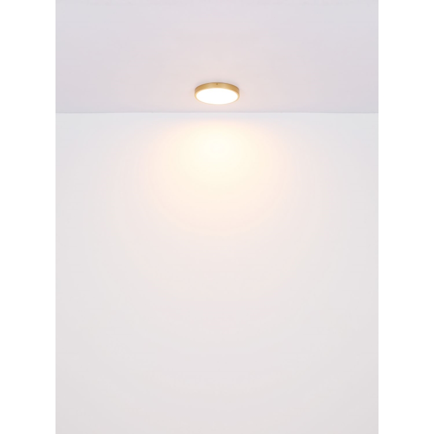 Globo - LED Plafon LED/30W/230V śr. 45 cm