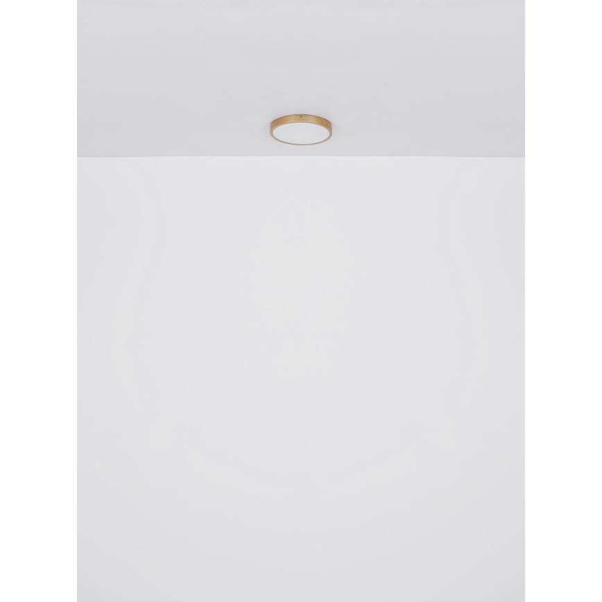 Globo - LED Plafon LED/30W/230V śr. 45 cm
