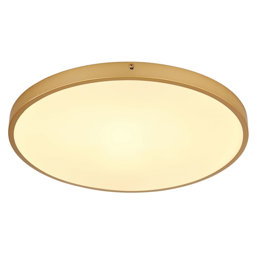 Globo - LED Plafon LED/30W/230V śr. 45 cm